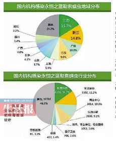 我市網絡安全態勢平穩，網絡與信息安全軟件筑牢防線